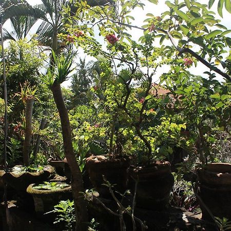 Raditia Homestay Ubud  Bagian luar foto