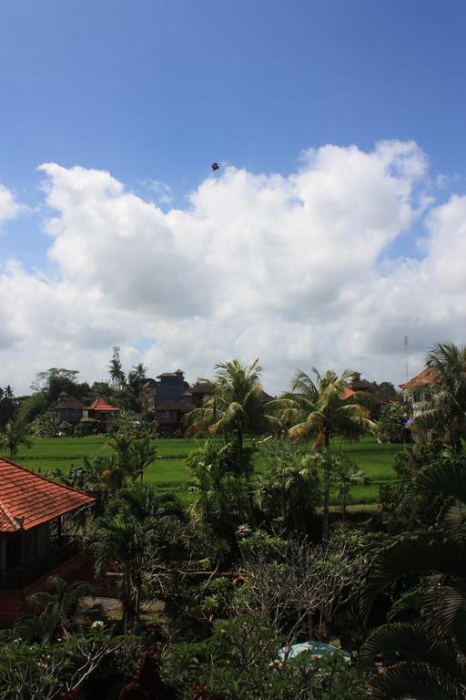 Raditia Homestay Ubud  Ruang foto