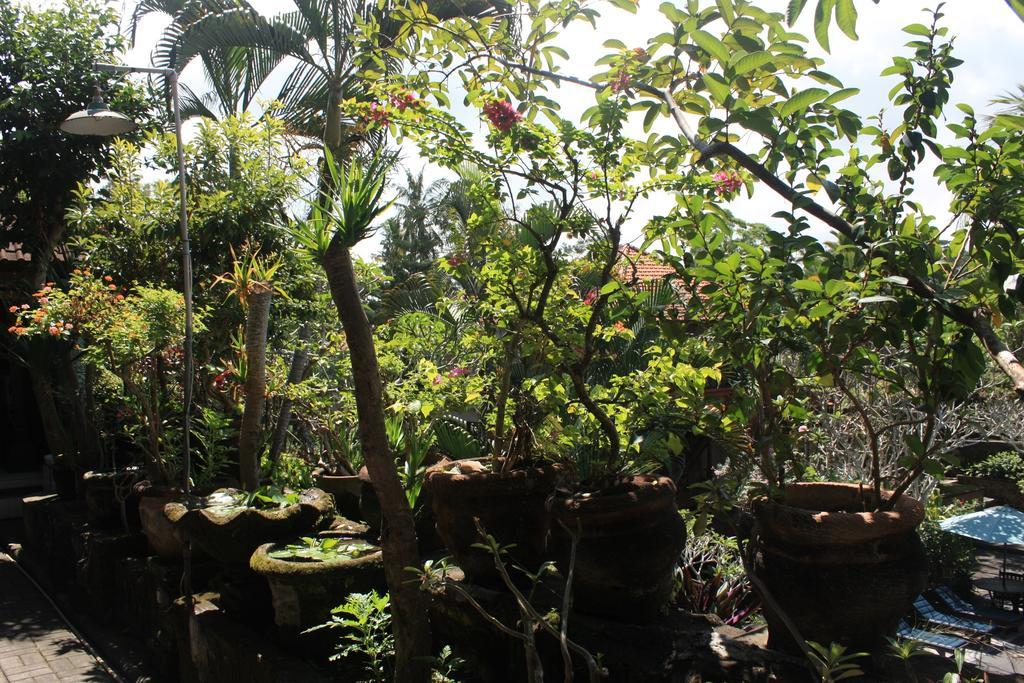 Raditia Homestay Ubud  Bagian luar foto